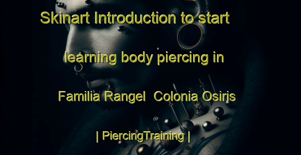 Skinart Introduction to start learning body piercing in Familia Rangel  Colonia Osiris | PiercingTraining | PiercingClasses | SkinartTraining-Mexico